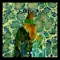 Sufistic (Suha Remix) - Traeer lyrics