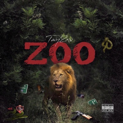 Zoo - Single