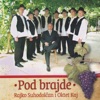 RAJKO SUHODOLČAN & Oktet Kaj - Pod Brajde