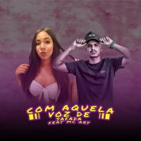 Com Aquela Voz de Safada (feat. MC Ary) - Single - DJ Mts da Serra