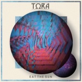 Eat The Sun artwork