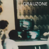 Eisbär - Grauzone