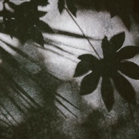 Dying Light - Single - Rinse Cycle