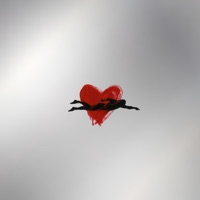 Corazón Cromado - Sen Senra