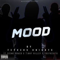 Mood (feat. Skeme Draco, Foxfredito & Tinny Riley) - Single - Feykers Knights