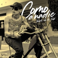 Como a Nadie - Single - Templo De La Tinta