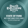 State Of Funk - Why Funky Makes People Dance (DJ Fopp Extended Mix)