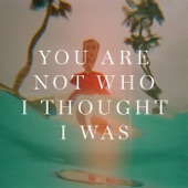 You Are Not Who I Thought I Was artwork