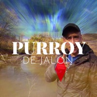 Purroy - Single - Furelguti
