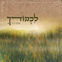 לכבודך - Aviad