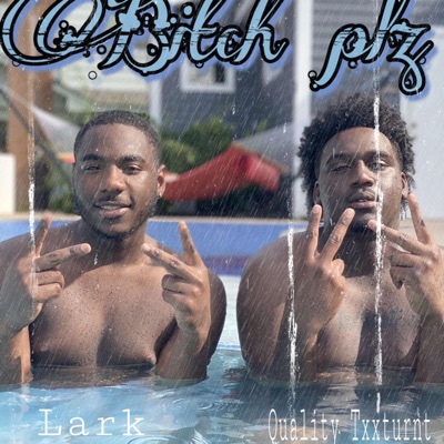 Bitch Plz (feat. Lark) - Single