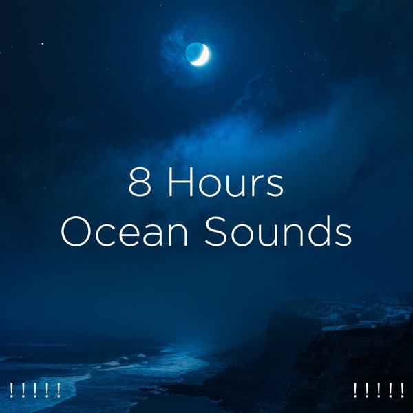 ! ! ! ! ! 8 Hours Ocean Sounds ! ! ! ! !