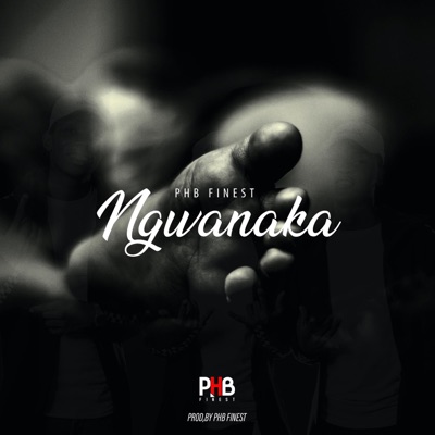 Ngwanaka - Single
