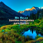 Sonidos Relajantes Para Dormir, Pt. 0 artwork