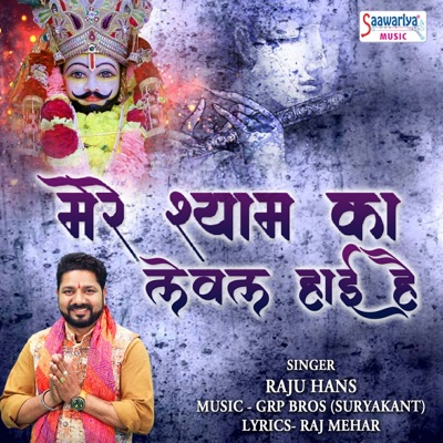 Mere Shyam Ka Level High Hai - Single