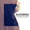 Blackbirds - Jade Like The Stone & Redtenbacher's Funkestra lyrics