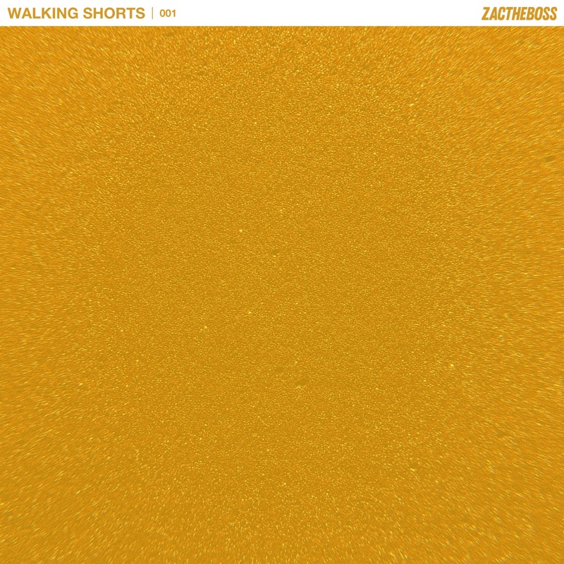 Walking Shorts - Single