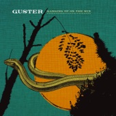 Guster - Satellite