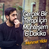Gerçek Bir Terapi İçin Muhteşem 6 Dakika Mehmet Yıldız artwork