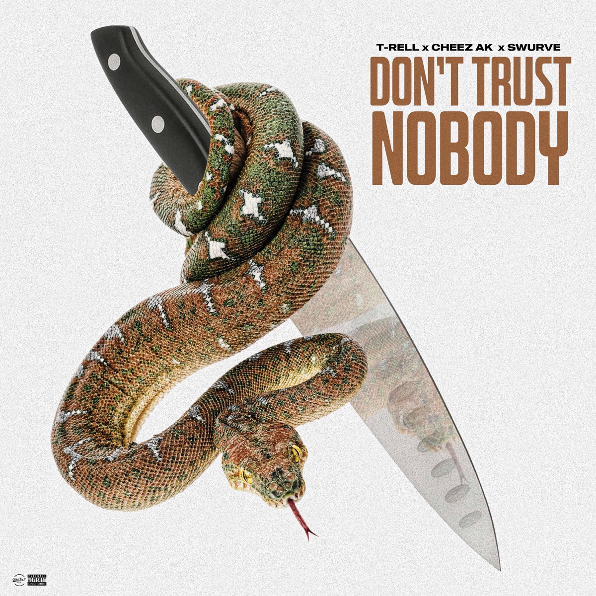 Nobody T Rell Cheez Ak Swurve 歌词 評論 Nobody T Rell Cheez Ak Swurve 歌词 評論