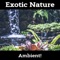 Mindfulness Music - Ambient lyrics