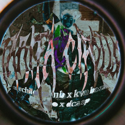 0'8 Tarifa Cipollo - Single