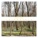 Would You Believe (feat. Jono McCleery) - Catz 'N Dogz