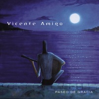 Paseo de Gracia - Vicente Amigo