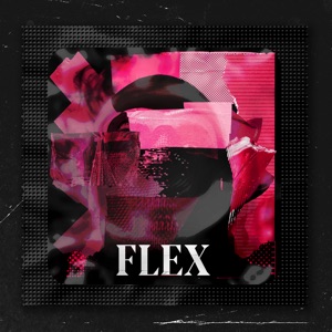 Flex (feat. Vulgatron)