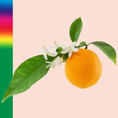Neroli - Single