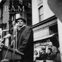 B.A.M (Instrumental) - Single - The Funky Diabetic