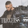 Triggers - Single