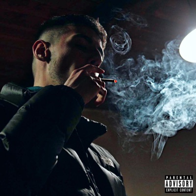 Fallout (feat. Lad¥ Dee) - Single