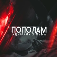 Пополам (feat. Пума) - Single - Адимайк