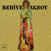 Ben Seni Unutmak İçin Sevmedim song art
