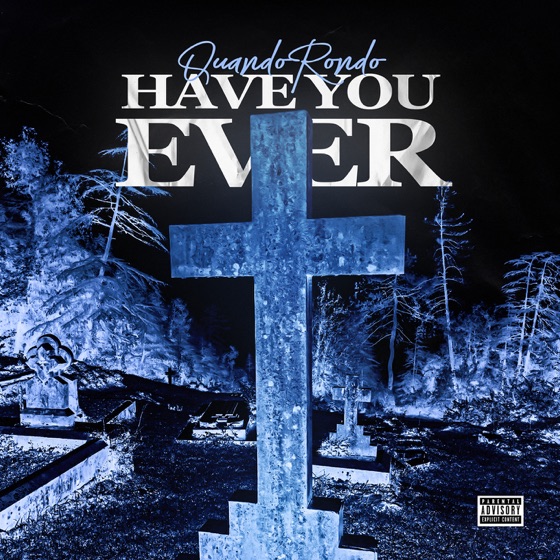 Cover artwork for Have You Ever