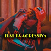 Flauta Agressiva (feat. Mc Rd & Mc Gw) - Single - Mc Dablio