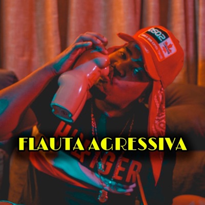 Flauta Agressiva (feat. Mc Rd & Mc Gw) - Single
