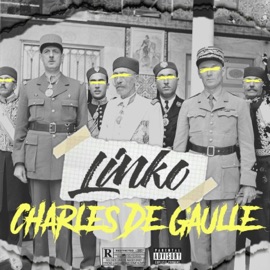 Charles De Gaulle Linko