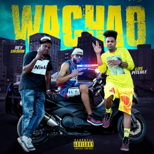 Wachao (feat. Los Piteale & K2)