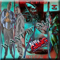 Want It All, killa flame . net (feat. kaos) - Single - Tha Network