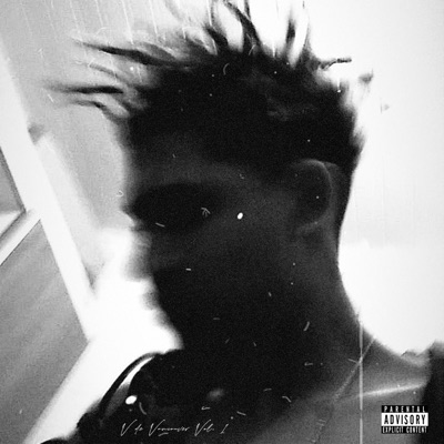 V de Vancouver, Vol. 1