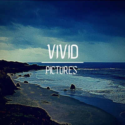 Vivid Picture$ - Single