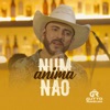 Num Anima Não (feat. Hugo & Thiago) - Single