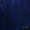 Copal (Mojo's Ears Remix) - Version Bizar lyrics