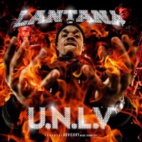U.N.L.V - Single - Lantana