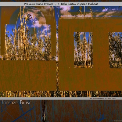 Pressure Piano Present, A Béla Bartók-inspired Habitat Lorenzo Brusci