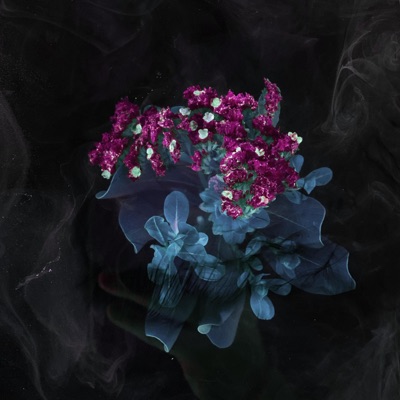 Dry Cleaning - Single