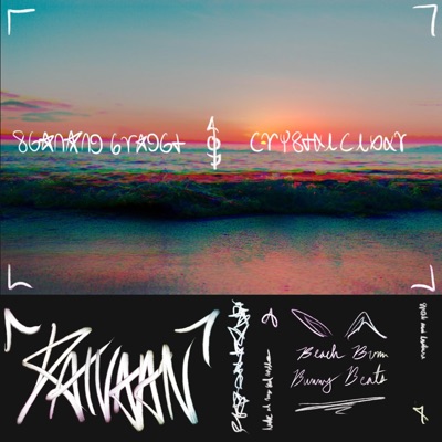 Beach Bum Bunny Beats - Single