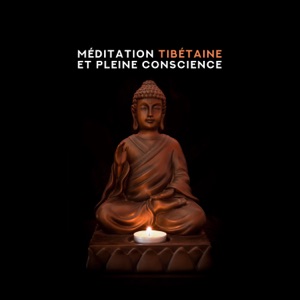 Méditation tibétaine et pleine conscience: Détendez-vous avec des bols chantants tibétains, Musique hypnotique pour l'esprit, l'esprit et le corps